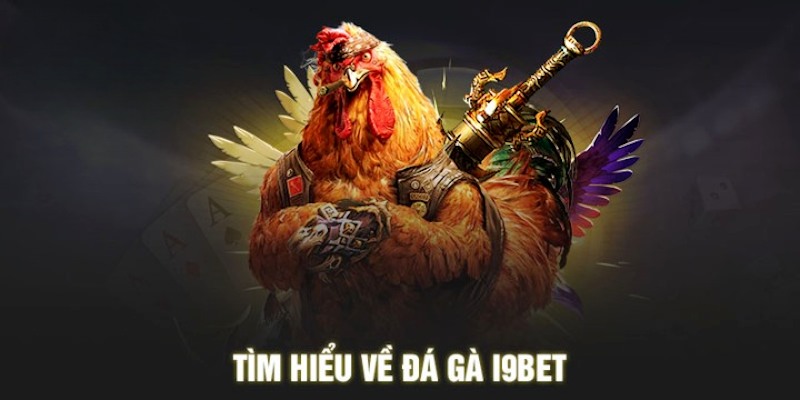 Hướng dẫn tham gia cược đá gà i9bet